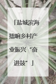 盐城滨海擂响乡村产业振兴“奋进鼓”