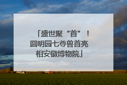 盛世聚“首”！圆明园七尊兽首亮相安徽博物院