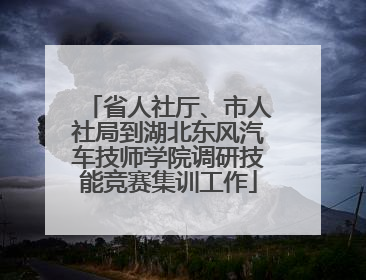 省人社厅、市人社局到湖北东风汽车技师学院调研技能竞赛集训工作