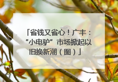 省钱又省心！广丰：“小电驴”市场掀起以旧换新潮（图）