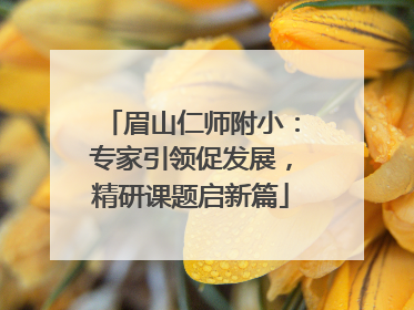 眉山仁师附小：专家引领促发展，精研课题启新篇