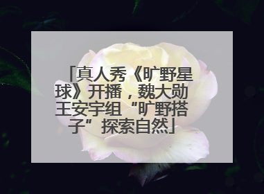 真人秀《旷野星球》开播，魏大勋王安宇组“旷野搭子”探索自然