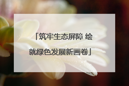 筑牢生态屏障 绘就绿色发展新画卷