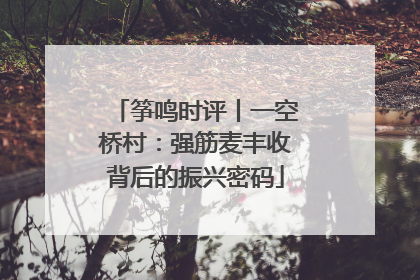 筝鸣时评丨一空桥村：强筋麦丰收背后的振兴密码