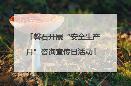 磐石开展“安全生产月”咨询宣传日活动