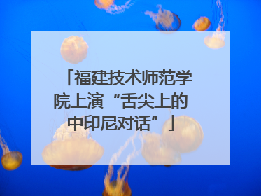 福建技术师范学院上演“舌尖上的中印尼对话”