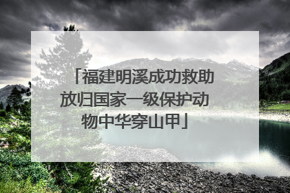 福建明溪成功救助放归国家一级保护动物中华穿山甲