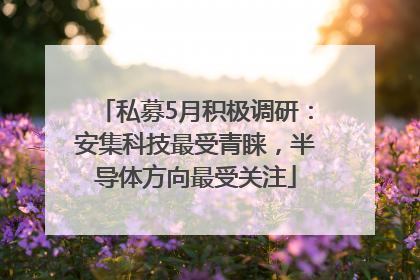 私募5月积极调研：安集科技最受青睐，半导体方向最受关注