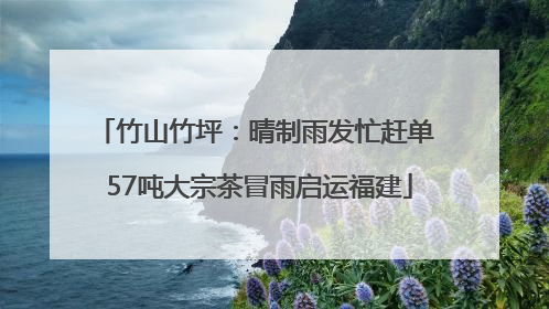 竹山竹坪：晴制雨发忙赶单 57吨大宗茶冒雨启运福建