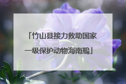 竹山县接力救助国家一级保护动物海南鳽