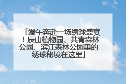 端午奔赴一场绣球盛宴！辰山植物园、共青森林公园、滨江森林公园里的绣球秘境在这里