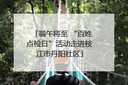 端午将至 “百姓点检日”活动走进枝江市丹阳社区