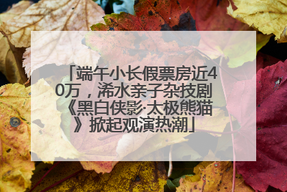 端午小长假票房近40万，浠水亲子杂技剧《黑白侠影·太极熊猫》掀起观演热潮