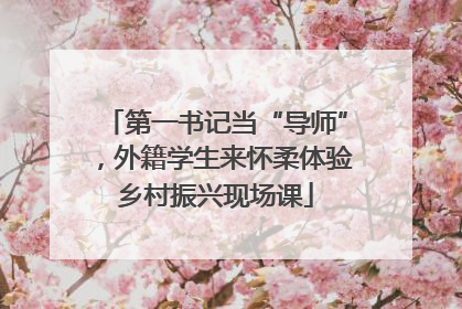 第一书记当“导师”,外籍学生来怀柔体验乡村振兴现场课