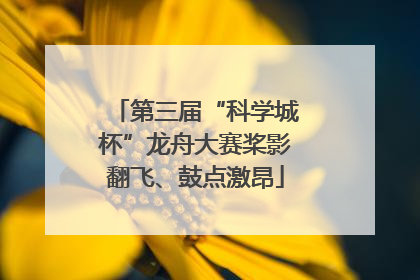 第三届“科学城杯”龙舟大赛桨影翻飞、鼓点激昂