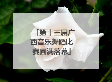 第十三届广西音乐舞蹈比赛圆满落幕