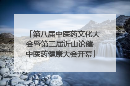 第八届中医药文化大会暨第三届沂山论健·中医药健康大会开幕