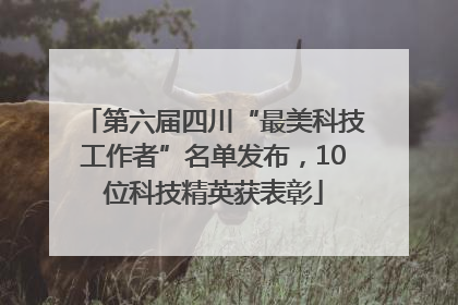 第六届四川“最美科技工作者”名单发布，10位科技精英获表彰