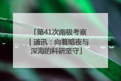 第41次南极考察｜通讯：向着暗夜与深海的科研坚守