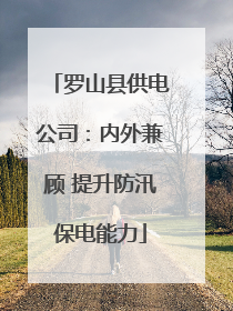 罗山县供电公司：内外兼顾 提升防汛保电能力