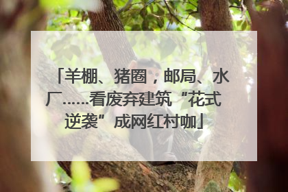 羊棚、猪圈，邮局、水厂……看废弃建筑“花式逆袭”成网红村咖