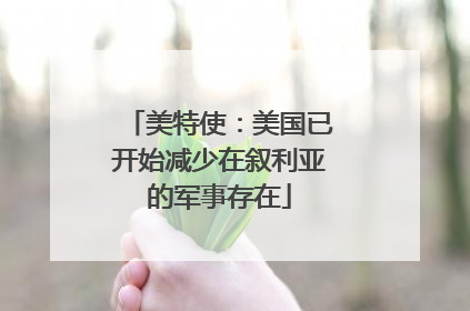 美特使：美国已开始减少在叙利亚的军事存在