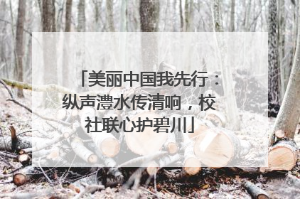 美丽中国我先行：纵声澧水传清响，校社联心护碧川