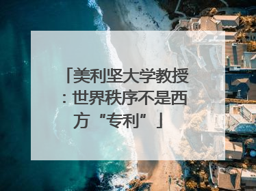 美利坚大学教授：世界秩序不是西方“专利”