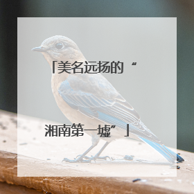 美名远扬的“湘南第一墟”