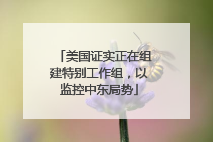 美国证实正在组建特别工作组，以监控中东局势
