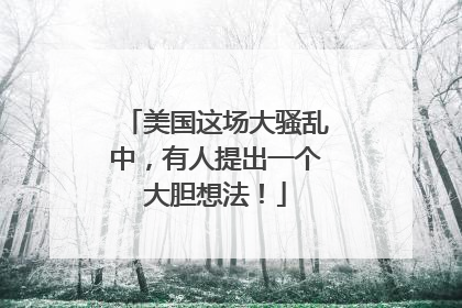 美国这场大骚乱中，有人提出一个大胆想法！