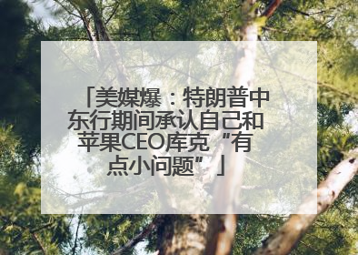 美媒爆：特朗普中东行期间承认自己和苹果CEO库克“有点小问题”