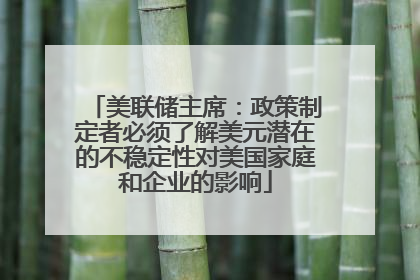 美联储主席：政策制定者必须了解美元潜在的不稳定性对美国家庭和企业的影响