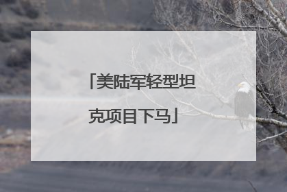 美陆军轻型坦克项目下马