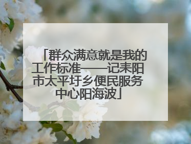 群众满意就是我的工作标准——记耒阳市太平圩乡便民服务中心阳海波