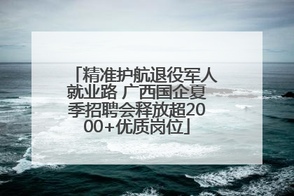精准护航退役军人就业路 广西国企夏季招聘会释放超2000+优质岗位