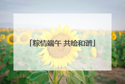粽情端午 共绘和谐