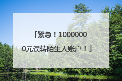 紧急！10000000元误转陌生人账户！