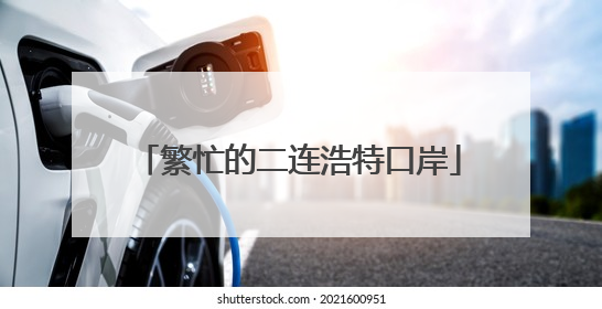 繁忙的二连浩特口岸