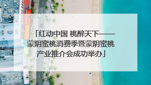红动中国 桃醉天下——蒙阴蜜桃消费季暨蒙阴蜜桃产业推介会成功举办