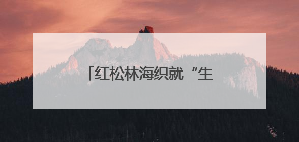红松林海织就“生态+”富民画卷