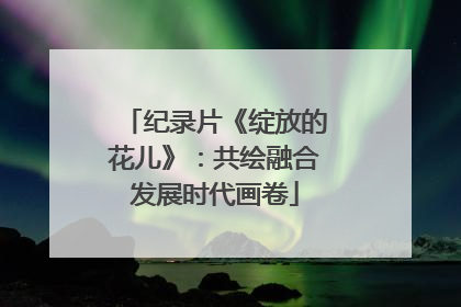 纪录片《绽放的花儿》：共绘融合发展时代画卷