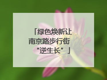 绿色焕新让南京路步行街“逆生长”