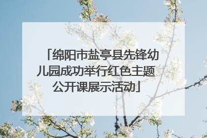 绵阳市盐亭县先锋幼儿园成功举行红色主题公开课展示活动