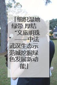 细织湿地绿带 厚结“文旅明珠”——中法武汉生态示范城挖掘绿色发展新动能