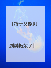 终于又能见到樊振东了