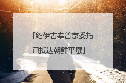 绍伊古奉普京委托已抵达朝鲜平壤