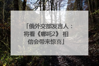 俄外交部发言人：将看《哪吒2》 相信会带来惊喜