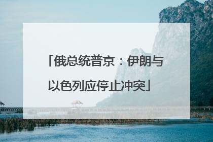 俄总统普京：伊朗与以色列应停止冲突