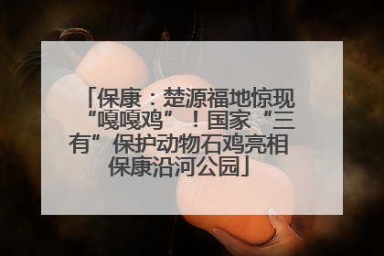 保康：楚源福地惊现“嘎嘎鸡”！国家“三有”保护动物石鸡亮相保康沿河公园